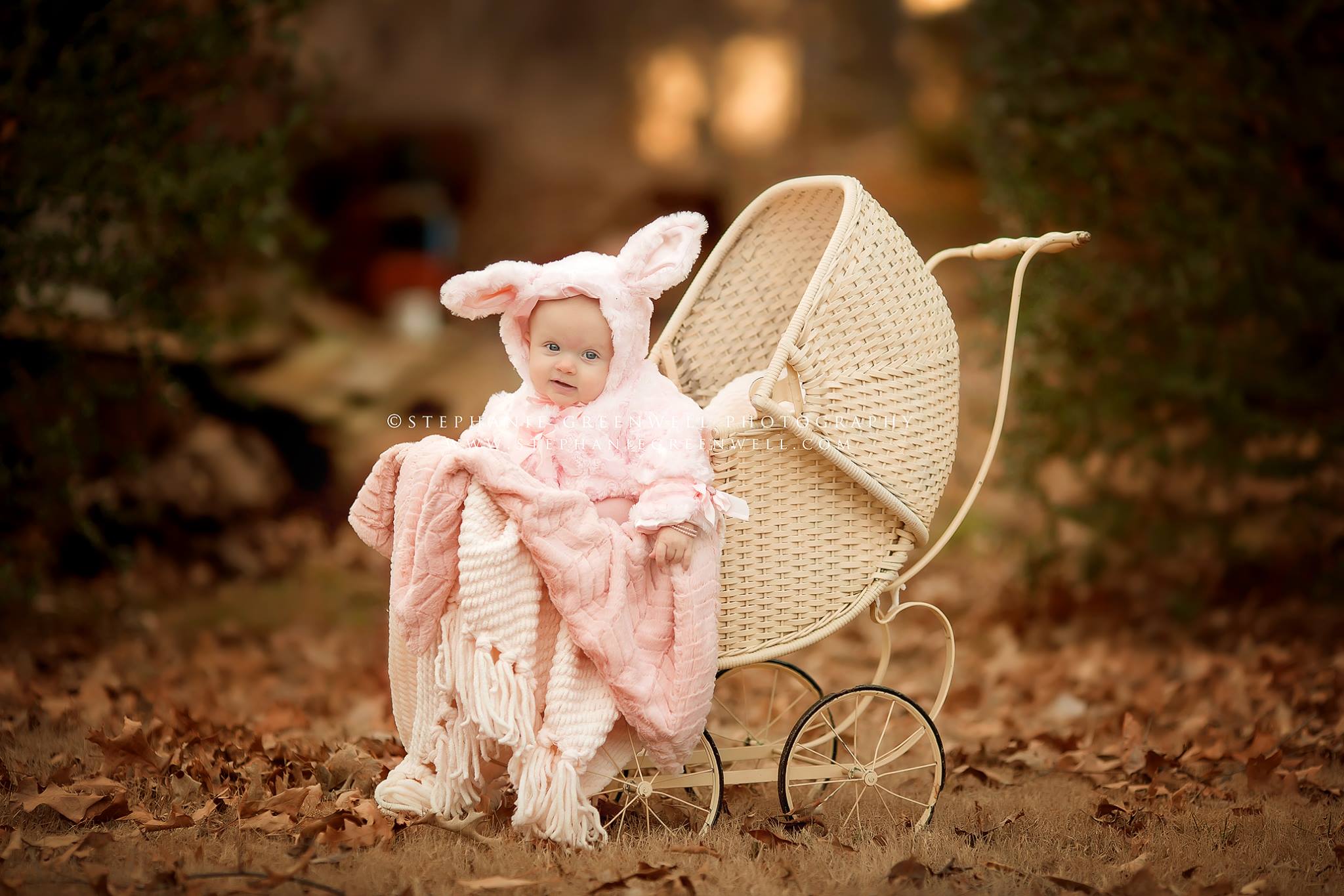 baby girl in antique pram rabbit coat kennett missouri photographer stephanie greenwell