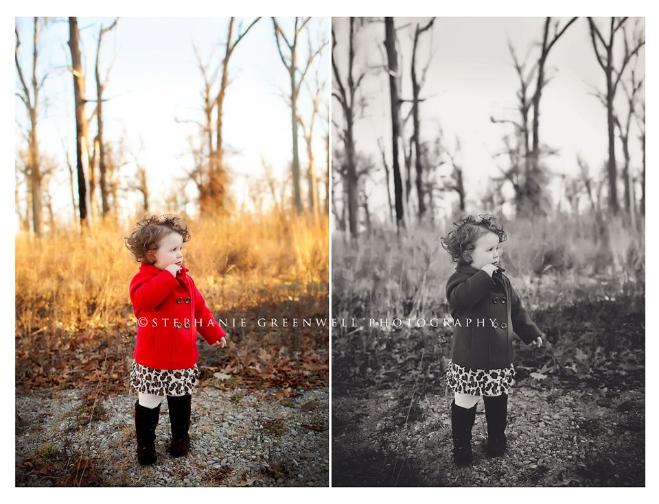 toddler girl in red coat woods red riding hood izzy drew stephanie greenwell photography