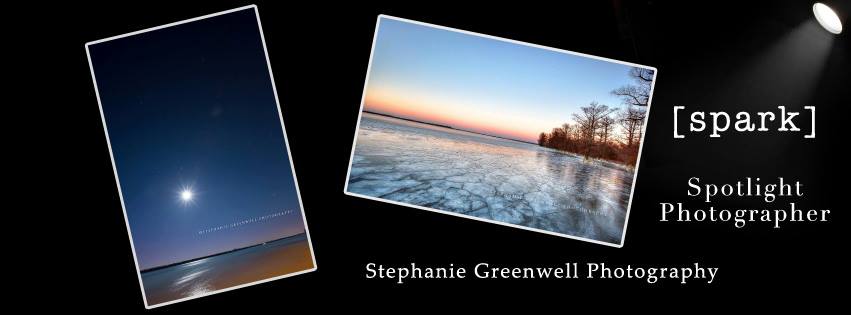 spark spotlight photographer reflection reelfoot lake southeast missouri photographer stephanie greenwell