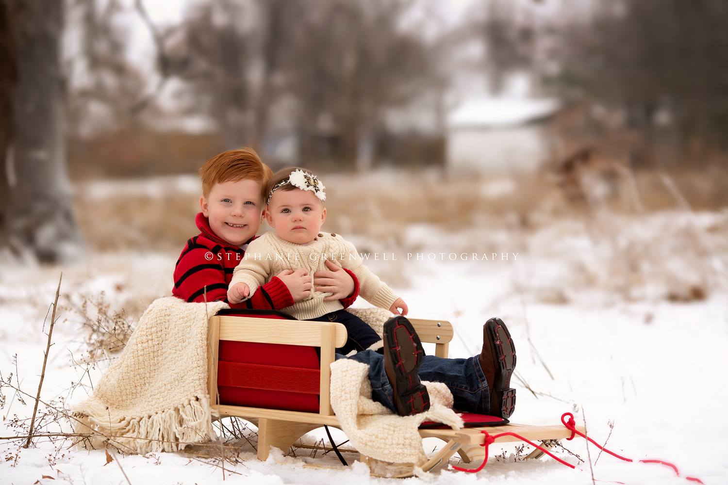 snow mini sessions callie sled snow ice storm southeast missouri photographer stephanie greenwell