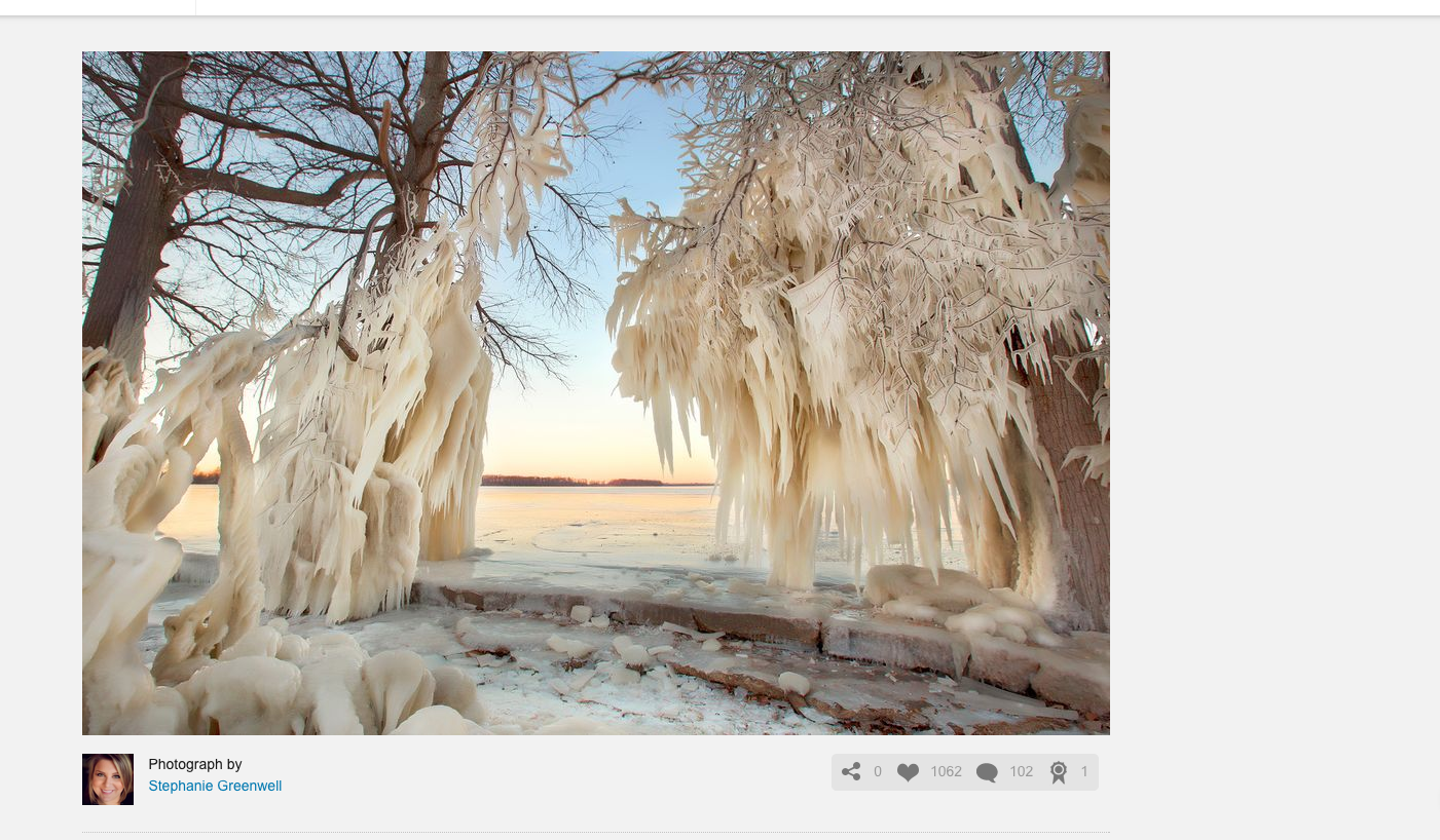 national geographic ice trees reelfoot southeast missouri photographer stephanie greenwell