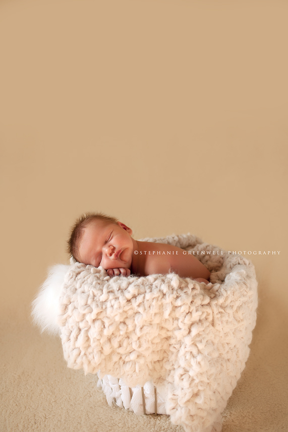 mandi turner jett jon brotz newborn photography sleeping baby basket southeast missouri photographer stephanie greenwell
