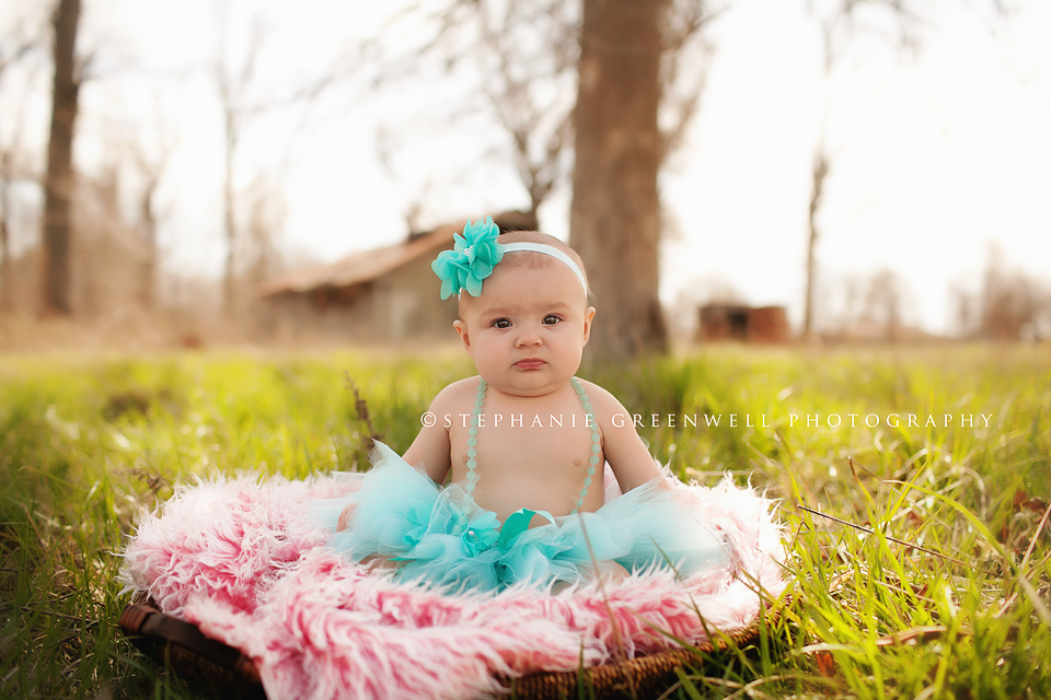 carleigh 6 month baby field tutu mohair basket barn southeast missouri photographer