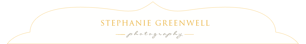 Southeast Missouri Child Baby Senior Photography | Stephanie Greenwell Photography logo